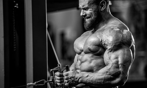 Muscle Dysmorphia and the Rise of 'Bigorexia' in Men | Private Therapy Clinic